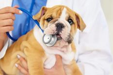 GETTY IMAGES Foto: GETTY IMAGES