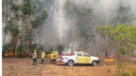 Incendios en Corrientes.