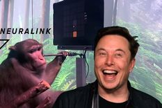 Musk ha sido denunciado. Foto: Lux.