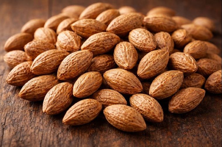 El carozo de las aceitunas se puede utilizar para el jardín.&nbsp;