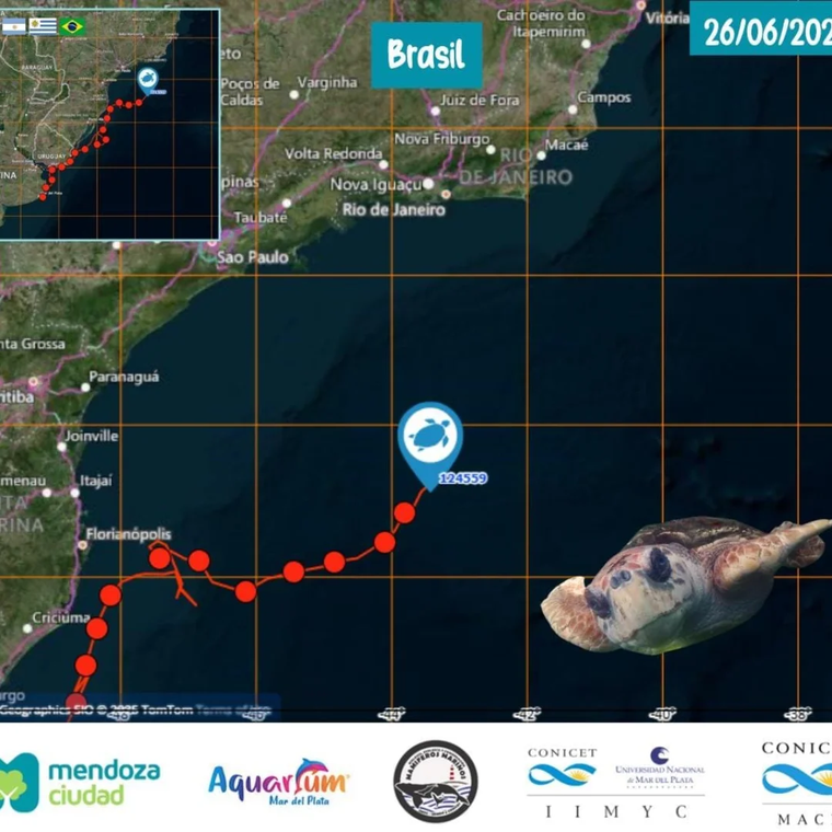 El recorrido del tortugo Jorge. El recorrido del tortugo Jorge.