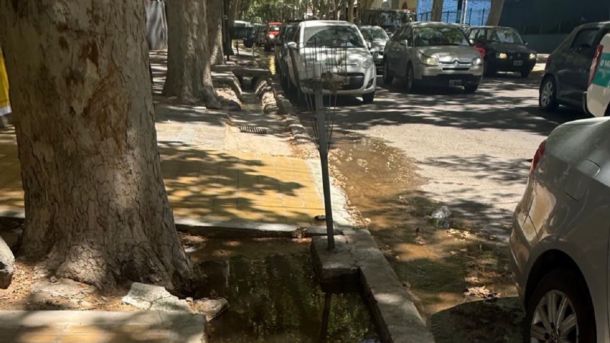 Acequia rebalsada de basura y agua en la calle en plena Quinta Sección