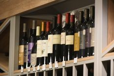 Al unísono, entidades vitivinícolas celebraron la decisión del Ministerio de Economía Foto: Maximiliano Ríos/MDZ