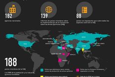 en cifras: la destruccion de armas quimicas en el mundo