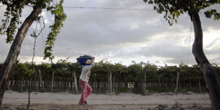 Foto: Gerardo Gómez /MDZ