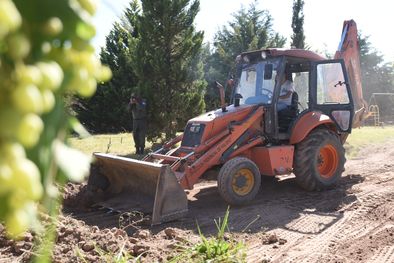 MDZol | Foto: Pachy Reynoso / MDZ