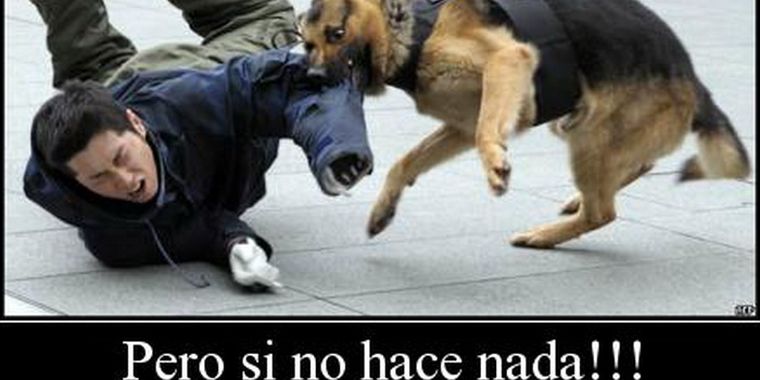 Imagen Ilustrativa