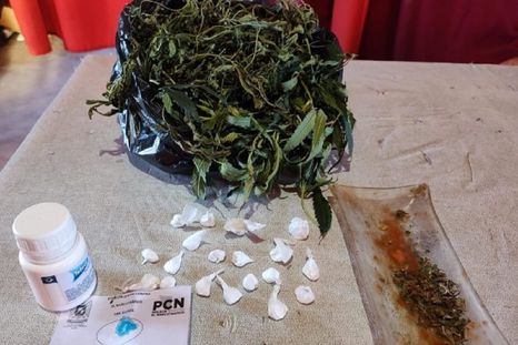 En los procedimientos se incautaron envoltorios de cocaína, marihuana y plantas de cannabis Foto: Ministerio de Seguridad de Mendoza