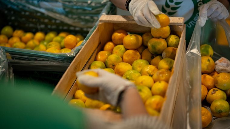 73 millones de kilos de alimentos terminaron fuera del circuito de consumo en la Argentina durante 2025.