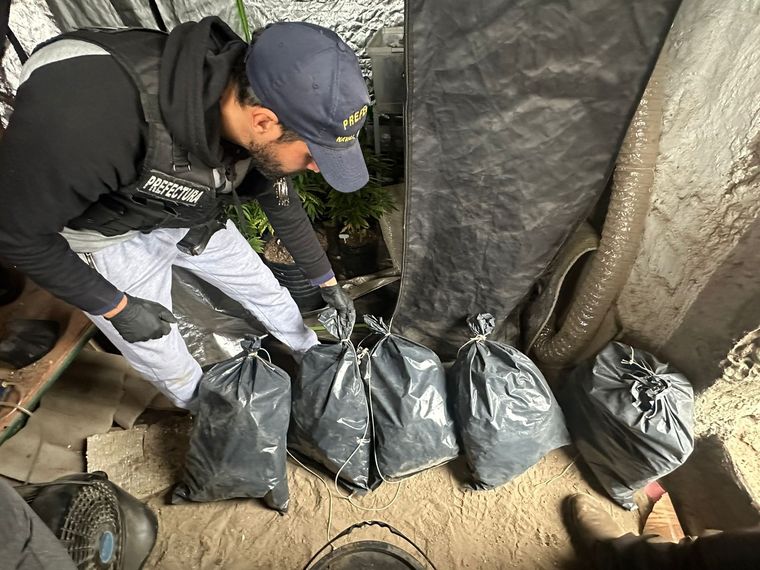 Se secuestró más de 55 millones de pesos Foto: Prefectura Naval Argentina