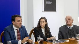Mendoza se prepara para avanzar con la ley que establece la baja de la edad de imputabilidad a los 14 años. Mendoza se prepara para avanzar con la ley que establece la baja de la edad de imputabilidad a los 14 años.