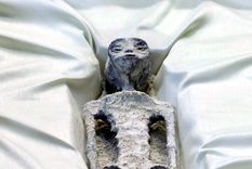 Momias de Nazca Una de las momias de Nazca exhibidas en México: ¿extraterrestres o cuerpos humanos modificados? Foto: globallpress.com