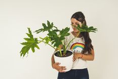 Foto: Gentileza Di Fiore