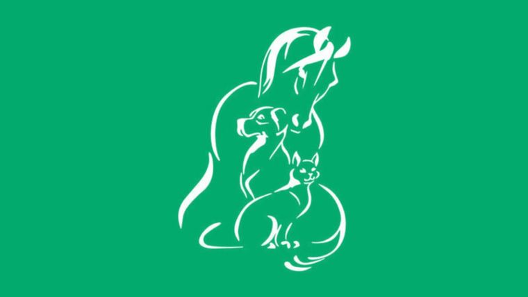 Test de personalidad