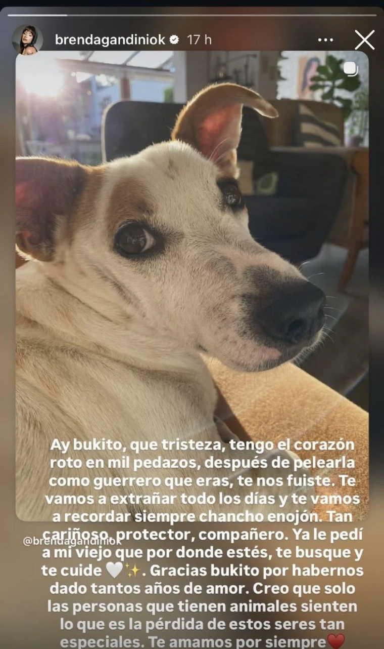 Brenda Gandini utilizó sus redes sociales para canalizar el dolor por la pérdida. Brenda Gandini utilizó sus redes sociales para canalizar el dolor por la pérdida.