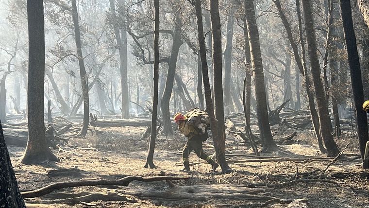 Un brigadista cruza la tierra arrasada por el fuego Foto: Gentileza Hernán Mondino