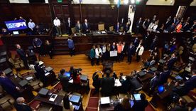 en vivo: segui la jura de los nuevos senadores mendocinos