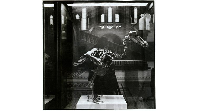 Foto: flickr.com/photos