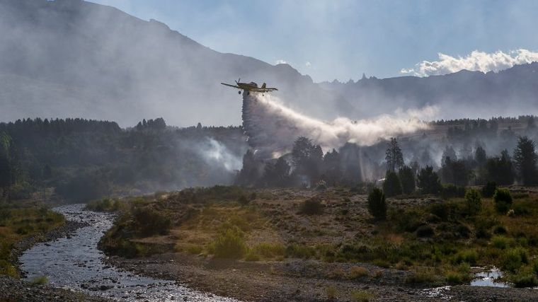 Foto: Publicada por Infobae