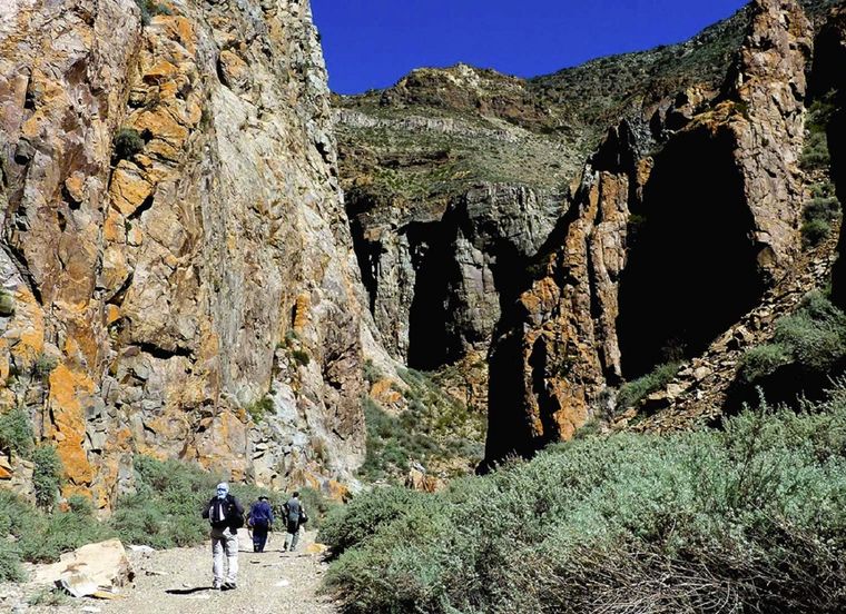 Foto: Cámara de Turismo Mendoza