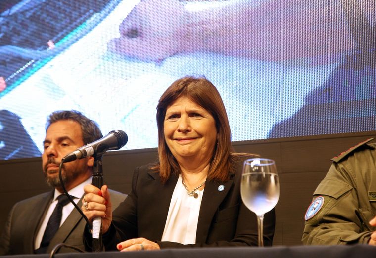 Bullrich habló tras el DNU anunciado por Milei Foto: Noticias Argentinas