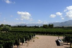 Foto: ALF PONCE MERCADO / MDZ