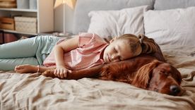 MASCOTAS Dormir con mascotas puede relajar a las personas Foto: SHUTTERSTOCK