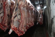 Las exportaciones de carne vacuna sumaron más de US$ 3400 millones el año pasado pero ahora muestran una retracción, que redundará en menos dólares. Foto: Pachy Reynoso/MDZ