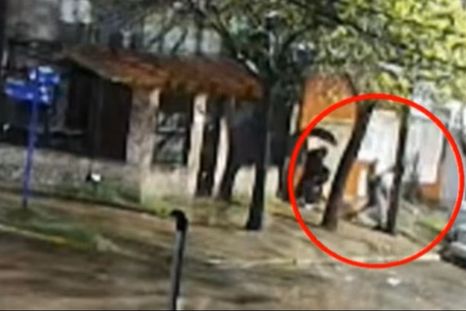 Un ladrón baleado por el custodio de la ministra Alejandra Monteoliva dijo: “Soy laburante. Hago esto porque estoy tapado en deudas”.