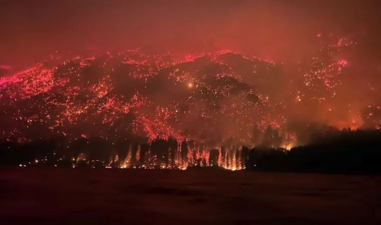 Los incendios en la Patagonia ya arrasaron con más de 4.000 hectáreas.