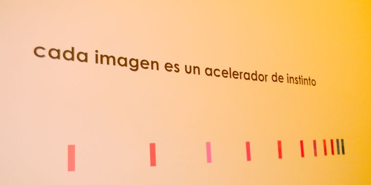 Foto: Cecilia Cannizzo/Mediamza.com