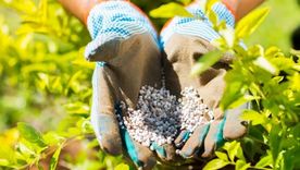 La urea, un insumo fundamental en la agroindustria, atraviesa mayormente el estrecho de Ormuz en su camino importador.