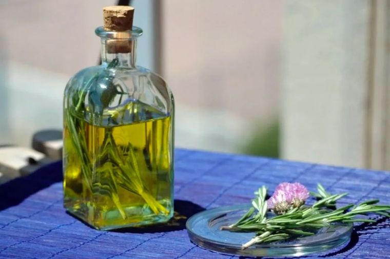 Caña con ruda casera. Foto: Vinómanos.