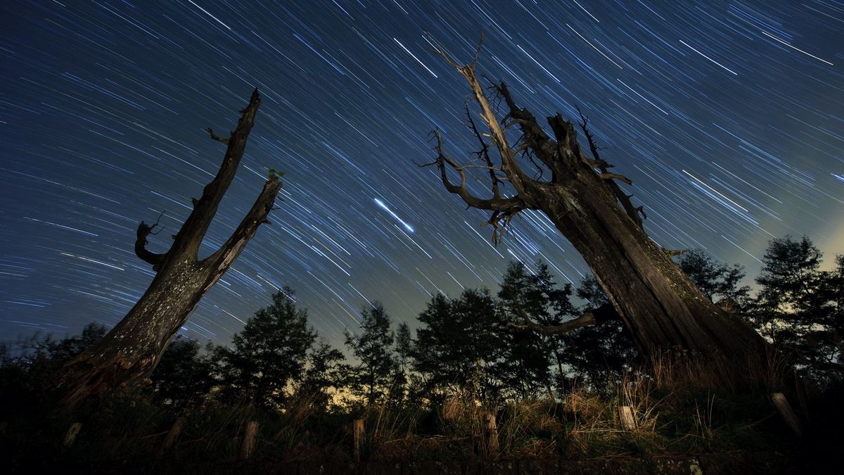 Lluvia de estrellas en Argentina: qué día mirar el cielo y a qué hora