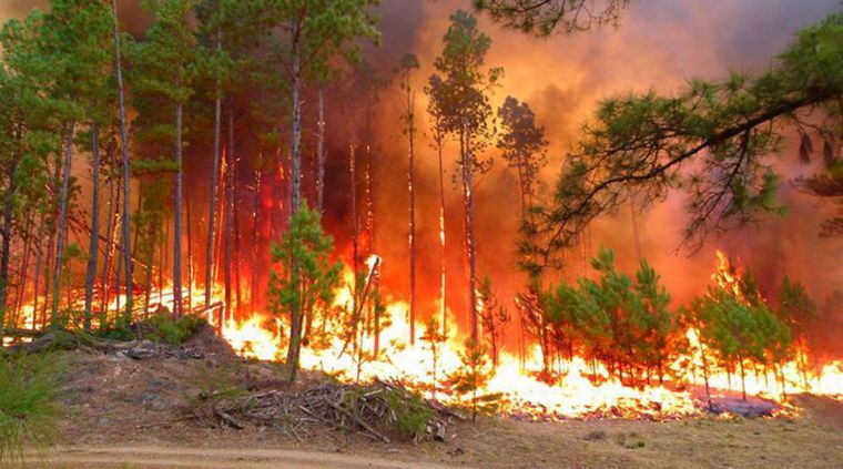 Foto: www.calamuchitadigital.com.ar