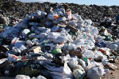 El predio de El Borbollón recibe cerca de 30 mil toneladas de basura por mes Foto: Imagen ilustrativa / ALF PONCE MERCADO / MDZ