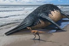 SERGEY KRASOVSKIY SERGEY KRASOVSKIY