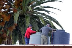 Foto: Alf Ponce / MDZ