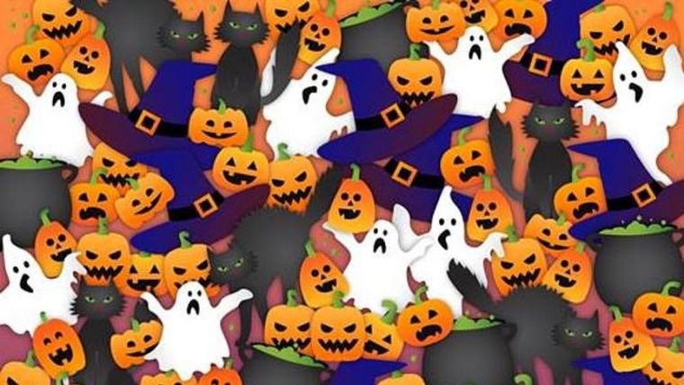 Acertijo visual, reto visual, murciélago Pinterest Foto: Pinterest