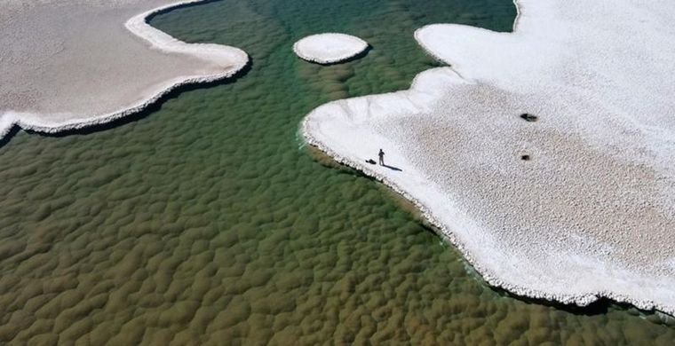 Estromatolitos en el fondo de una laguna en la puna de Atacama en Argentina. Foto: BRIAN HYNEK