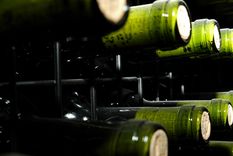 mendoza, el mercosur y los coletazos del brexit