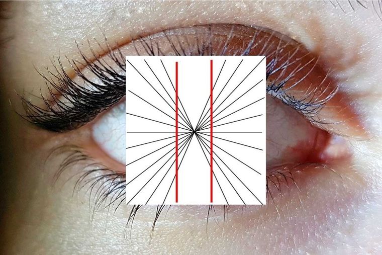 Test Visual - llusión óptica Test Visual: puedes superar la Ilusión óptica Foto: Biotech Magazine & News