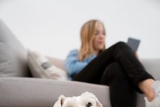 ¿Cómo hago para que mi perro no se suba al sofá? Te dejamos algunos consejos para que adiestres a tu mascota. Foto: Freepik