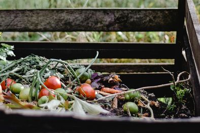 MDZol | Los 10 errores más comunes que arruinan el compost y cómo evitarlos