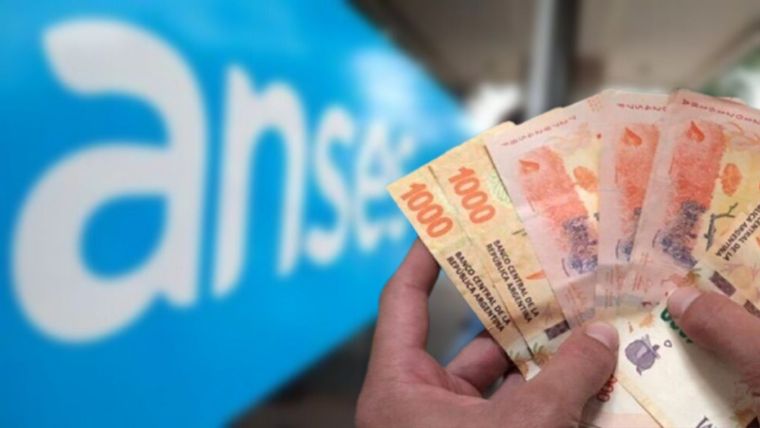 Anses informó que día cobran los jubilados y pensionados según su DNI. Foto: Anses