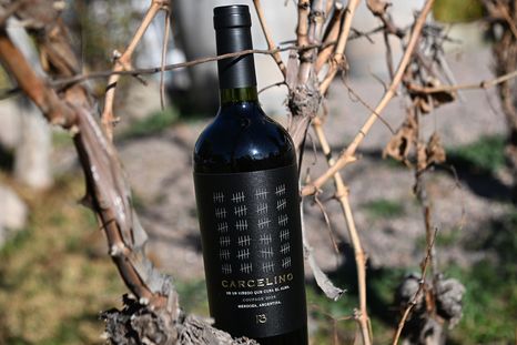 La familia Bonfanti es la promotora del proyecto Carcelino, desarrollado en los viñedos de la Penitenciaría Federal Argentina en Mendoza. El proyecto cuyo producto final es un vino, fusiona inclusión social y producción vitivinícola.&nbsp;
