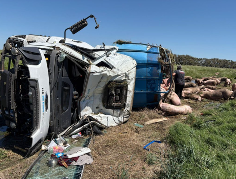 El hecho ocurrió en la Ruta 7.