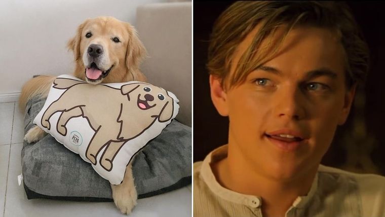 TikTok, Titanic, perro Fuente: TikTok @miloandthegirls