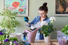 Azúcar con diferentes elementos se convierte en un potente abono para las plantas del jardín Foto: Shutterstock