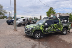 Gentileza prensa Mendoza (Imagen Ilustrativa)